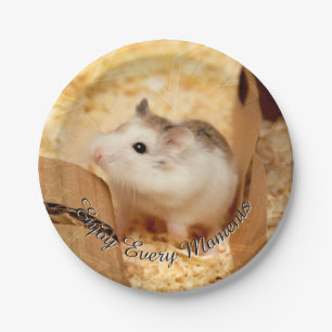Hammyville - Niedlicher Hamster Pappteller