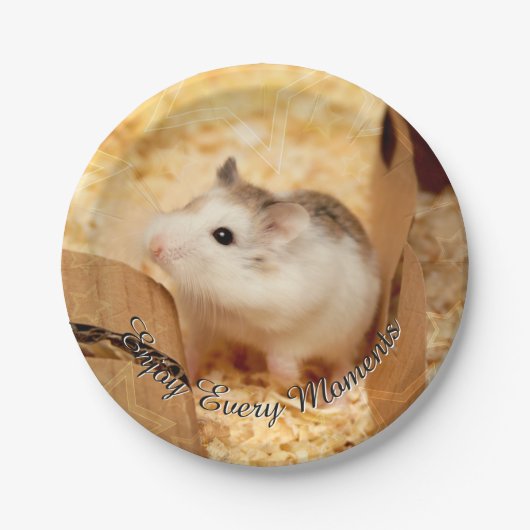 Hammyville - Niedlicher Hamster Pappteller (Vorderseite)