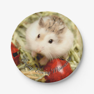 Hammyville - Niedlicher Hamster Pappteller