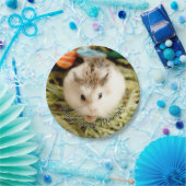 Hammyville - Niedlicher Hamster Pappteller (Party)