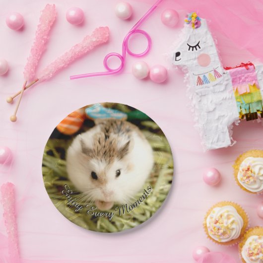 Hammyville - Niedlicher Hamster Pappteller (Party)