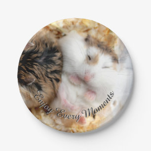 Hammyville - niedlicher Hamster Pappteller