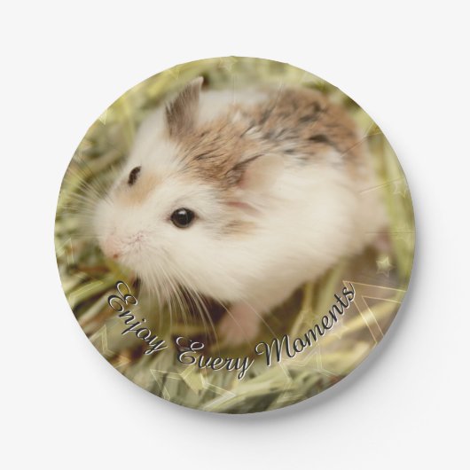 Hammyville - Niedlicher Hamster Pappteller (Vorderseite)