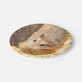 Hammyville - Niedlicher Hamster Pappteller (Schrägansicht)