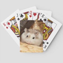 Hammyville - Niedlicher Hamster Spielkarten