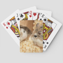 Hammyville - Niedlicher Hamster