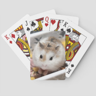 Hammyville - Niedlicher Hamster Spielkarten