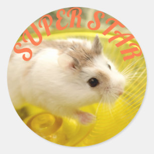 Hammyville - Niedlicher Hamster Super Star Runder Aufkleber