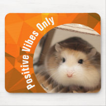 HammyVille - Nur Niedliche Hamster Positive Vibes