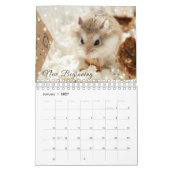 Hammyville - Schein Kalender (Jan 2027)
