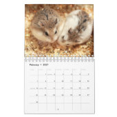 Hammyville - Schein Kalender (Feb 2027)