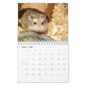 Hammyville - Schein Kalender (Mär 2027)