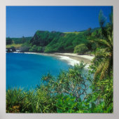 Hamoa Beach Hana Maui Poster (Vorne)