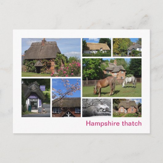 Hampshire Postkarte (Vorderseite)