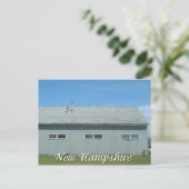 Hampton Beach, Seegras aus New Hampshire Postkarte (Stehend Vorderseite)