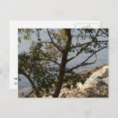 Hampton, Chesapeake bay view Postkarte (Vorne/Hinten)