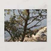 Hampton, Chesapeake bay view Postkarte (Vorderseite)