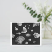 Hamptons 'Seashells' POSTCARD Postkarte (Stehend Vorderseite)