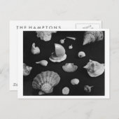 Hamptons 'Seashells' POSTCARD Postkarte (Vorne/Hinten)