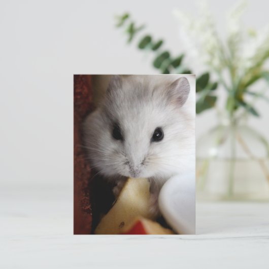 Hamsteer Postcard Postkarte (Stehend Vorderseite)