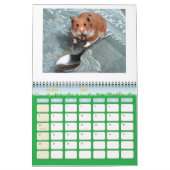 Hamster1, HAMSTERS, Kalender 2008 (Mär 2027)