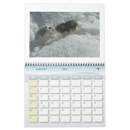 Hamster1, HAMSTERS, Kalender 2008 (Jan 2027)