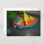 Hamster auf einem Jet-Ski Postkarte (Vorne/Hinten)