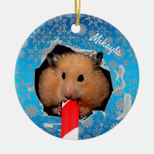 Hamster Chews Hole im Weihnachtsschmuck