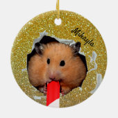 Hamster Chews Hole in Glittery Golden Ornament (Hinten)
