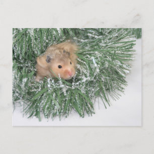 Hamster Christmas Feiertagspostkarte