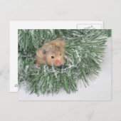 Hamster Christmas Feiertagspostkarte (Vorne/Hinten)