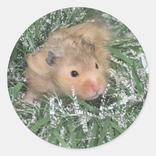 Hamster Christmas Runder Aufkleber (Vorderseite)