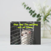 Hamster Escape Postcard Postkarte (Stehend Vorderseite)