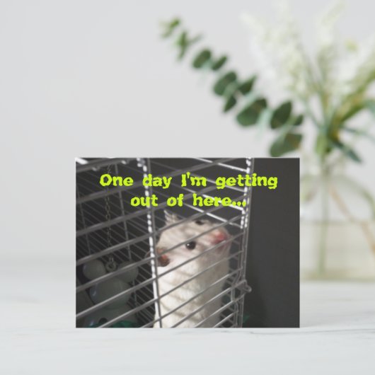 Hamster Escape Postcard Postkarte (Stehend Vorderseite)