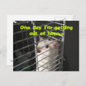 Hamster Escape Postcard Postkarte (Vorne/Hinten)