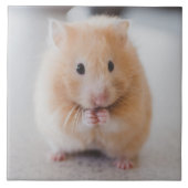 Hamster Fliese (Vorderseite)