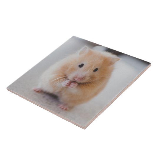 Hamster Fliese (Seite)