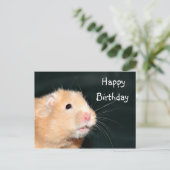 Hamster Happy Birthday Postkarte (Stehend Vorderseite)