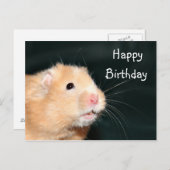 Hamster Happy Birthday Postkarte (Vorne/Hinten)
