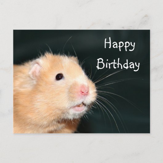 Hamster Happy Birthday Postkarte (Vorderseite)