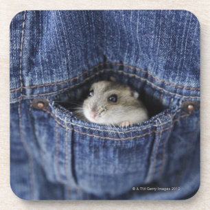 Hamster in der Tasche Untersetzer