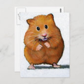 HAMSTER IN FARBPENCIL POSTKARTE (Vorne/Hinten)