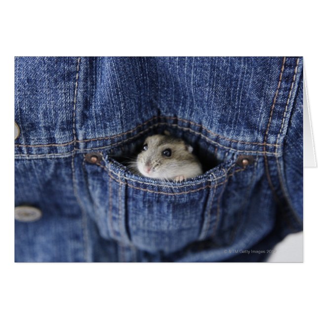 Hamster in Tasche (Vorderseite (Horizontal))