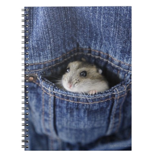 Hamster in Tasche Notizblock (Vorderseite)