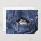 Hamster in Tasche Postkarte (Vorne/Hinten)