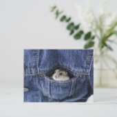 Hamster in Tasche Postkarte (Stehend Vorderseite)
