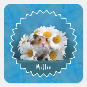 Hamster in White Daisy Bouquet Quadratischer Aufkleber