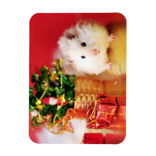 Hamster Kokolinka mit Weihnachtsbaum Magnet (Vertikal)