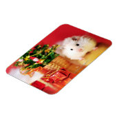 Hamster Kokolinka mit Weihnachtsbaum Magnet (Linke Seite)