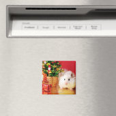 Hamster Kokolinka mit Weihnachtsbaum Magnet (In Situ (Geschirrspüler))